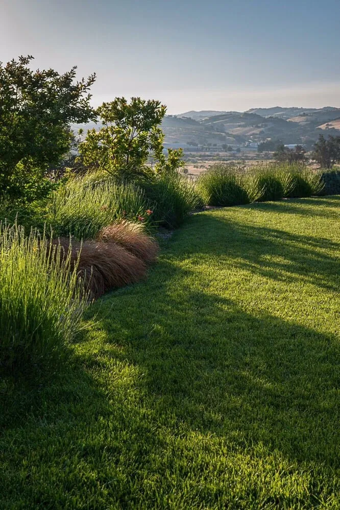 Local landscape installation for year-round maintenance across Paso Robles, CA - Tomascapes