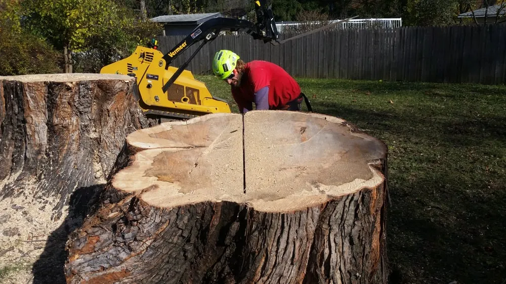 Top-rated yard maintenance for outdoor upgrades in Cary, IL by Tomasello's Landscaping