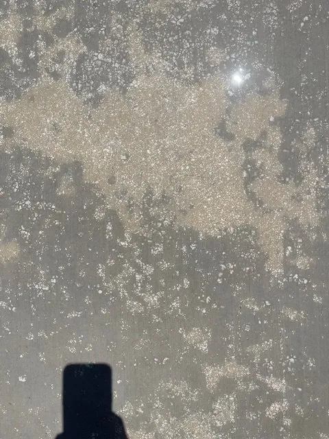 Reliable residential landscaping experts serving Sacramento, CA - Tomas's Concrete