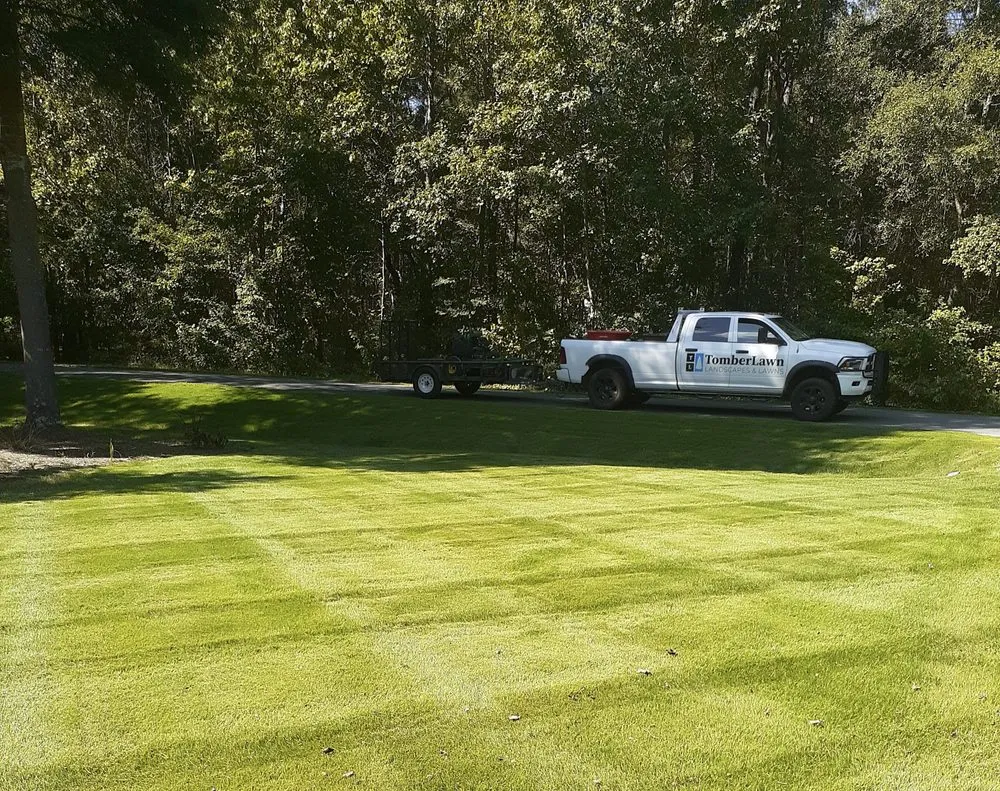 Reliable yard cleanup service for homes in Monroe, NC by TomberLawn