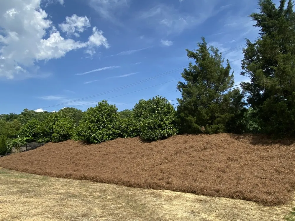 Local landscape installation experts serving Monroe, NC - TomberLawn