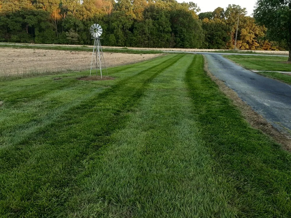 Reliable lawn mowing service for residential properties in Monroe, NC by TomberLawn