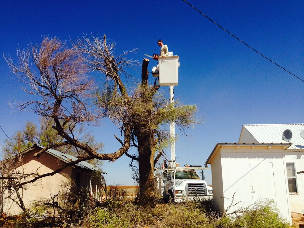 Expert lawn mowing service for residential properties in Wolfforth, TX by Tomcat's Tree Trimming