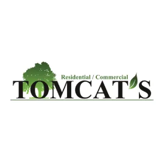 Expert lawn care service for outdoor upgrades across Wolfforth, TX - Tomcat's Tree Trimming