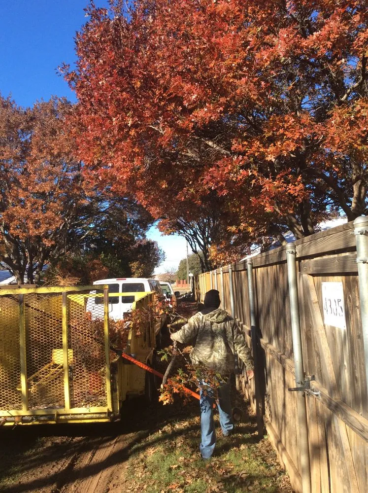 Custom yard cleanup service experts serving Wolfforth, TX - Tomcat's Tree Trimming