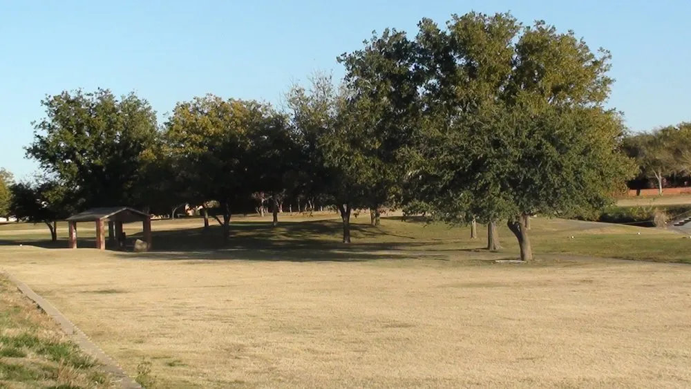Local residential landscaping for year-round maintenance across Wolfforth, TX - Tomcat's Tree Trimming