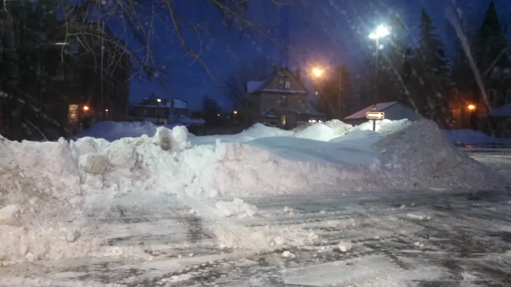 Local landscaping services in Lakeview, NY by Tomczak's Lawn Care