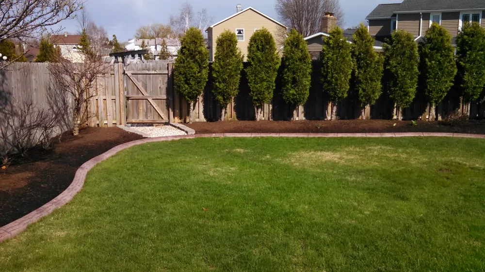 Trusted yard maintenance in Lakeview, NY - Tomczak's Lawn Care