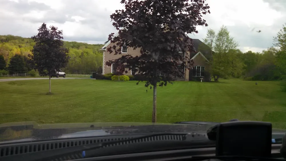 Affordable lawn care service in Lakeview, NY by Tomczak's Lawn Care