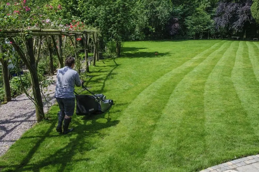 Local residential landscaping for outdoor upgrades in Decatur, GA by Tomi Enterprises