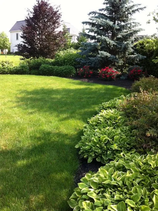 Professional yard maintenance with custom design in Harrisburg, PA by Tomlinson Bomberger