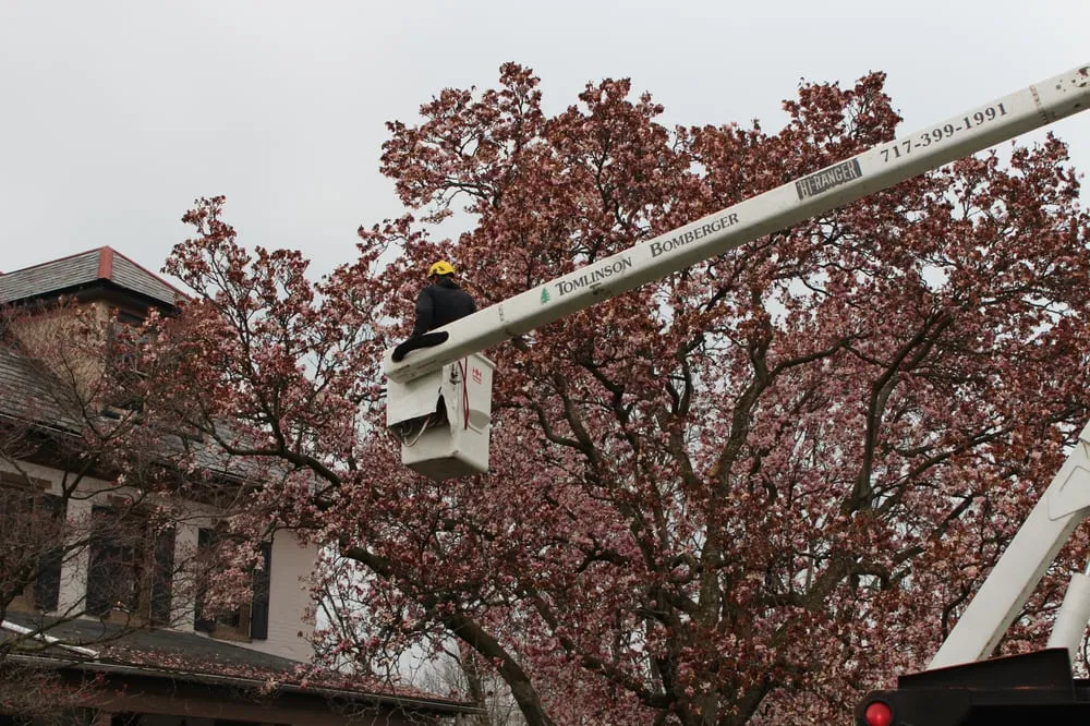 Trusted yard cleanup service for year-round maintenance in Lancaster, PA by Tomlinson Bomberger Lawn Care & Landscape