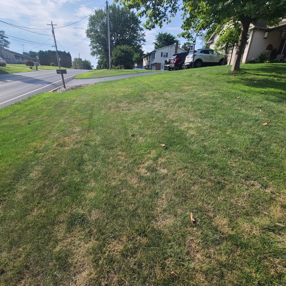 Reliable garden landscaping experts serving Lancaster, PA - Tomlinson Bomberger Lawn Care & Landscape