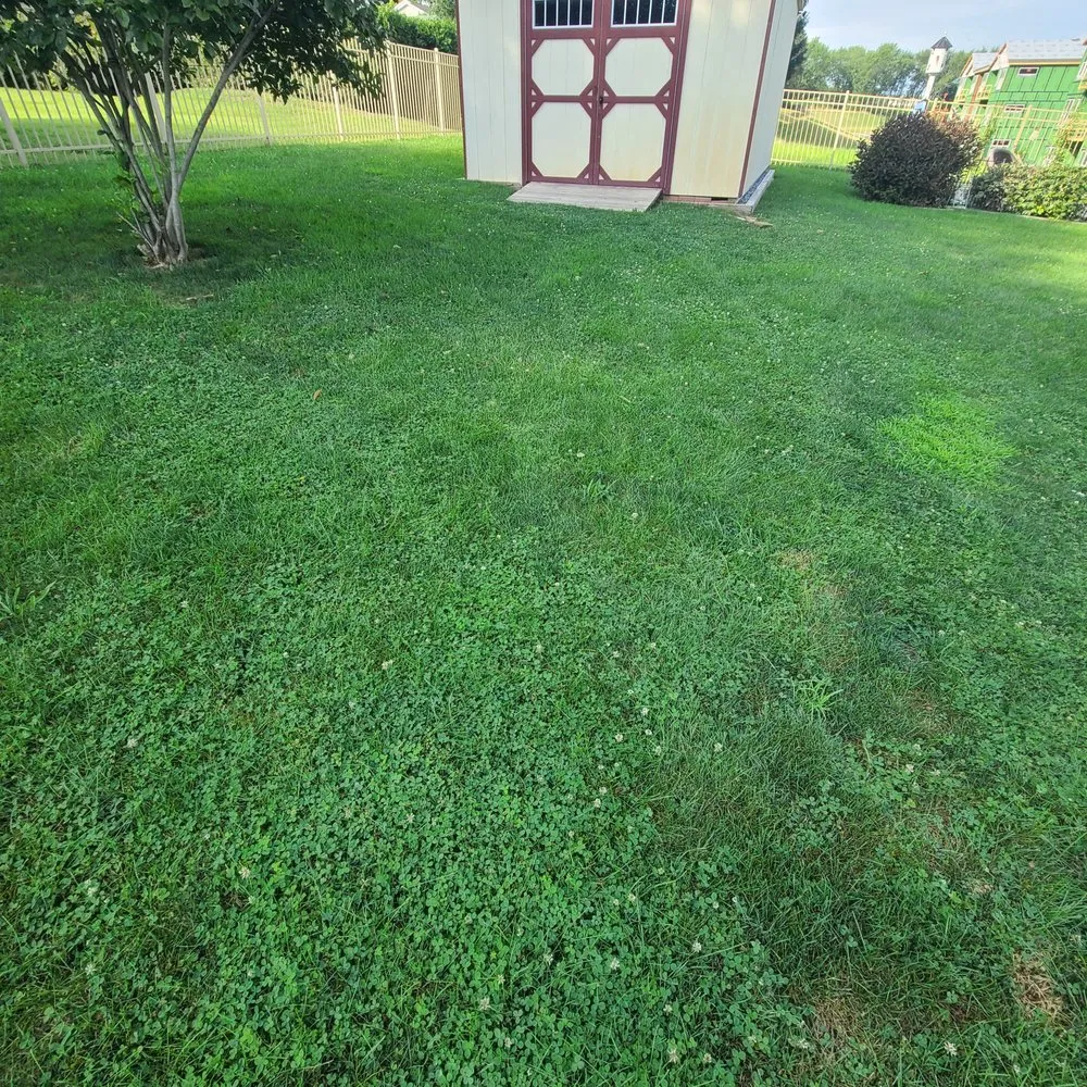 Trusted residential landscaping in Lancaster, PA by Tomlinson Bomberger Lawn Care & Landscape