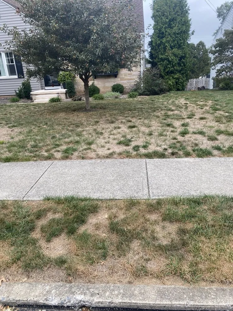 Trusted yard maintenance in Lancaster, PA by Tomlinson Bomberger Lawn Care & Landscape