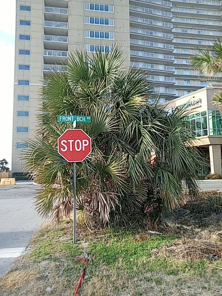 Trusted landscape installation for homes across Inlet Beach, FL - Tommies Tropical Trimming