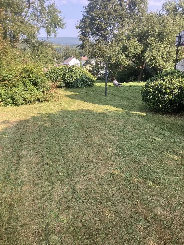 Top-rated landscape design experts serving Old Forge, PA - Tommy c’s Landscaping and Construction