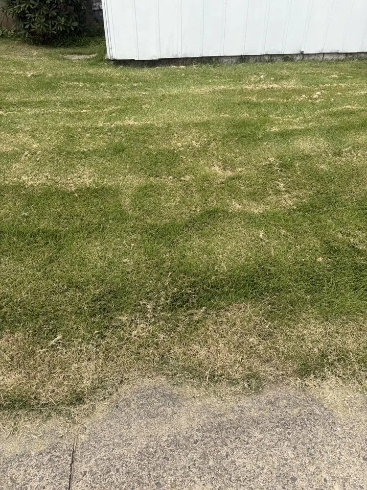 Expert landscape installation experts serving Old Forge, PA - Tommy c’s Landscaping and Construction