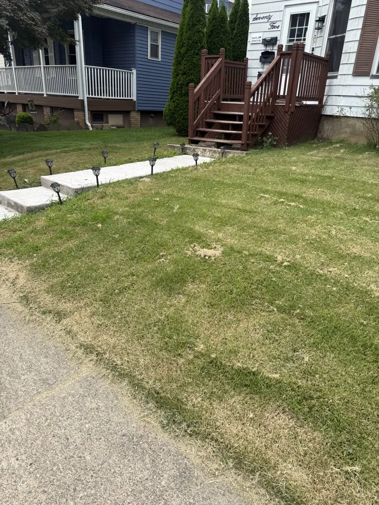 Professional lawn care service in Old Forge, PA - Tommy c’s Landscaping and Construction