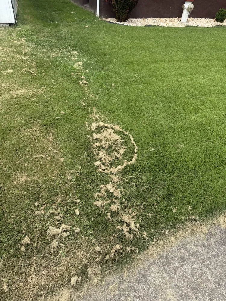 Custom residential landscaping for residential properties across Old Forge, PA - Tommy c’s Landscaping and Construction