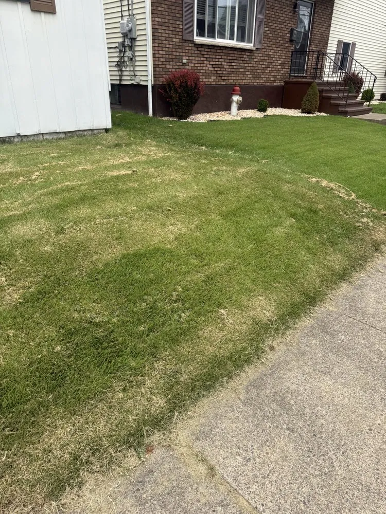 Professional landscape installation for beautiful yards across Old Forge, PA - Tommy c’s Landscaping and Construction