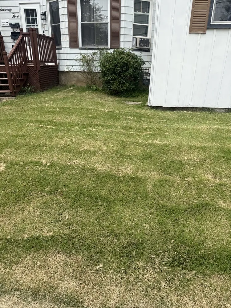 Top-rated yard cleanup service experts serving Old Forge, PA - Tommy c’s Landscaping and Construction