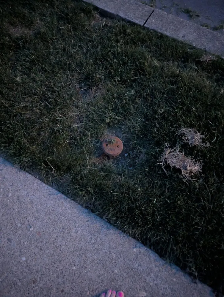 Trusted landscaping services in Old Forge, PA by Tommy c’s Landscaping and Construction