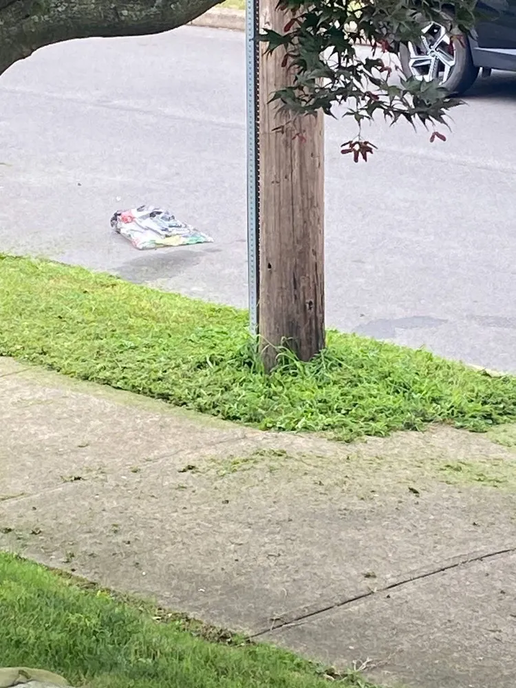 Trusted yard cleanup service for outdoor upgrades in Old Forge, PA by Tommy c’s Landscaping and Construction