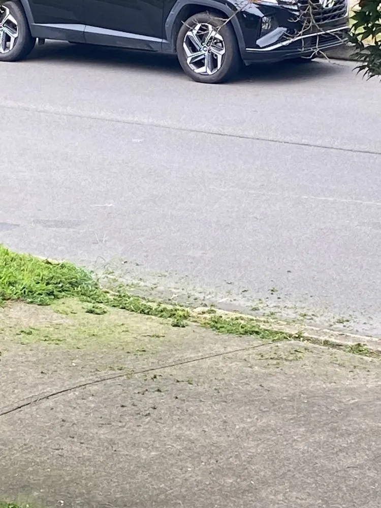 Trusted lawn care service for beautiful yards across Old Forge, PA - Tommy c’s Landscaping and Construction