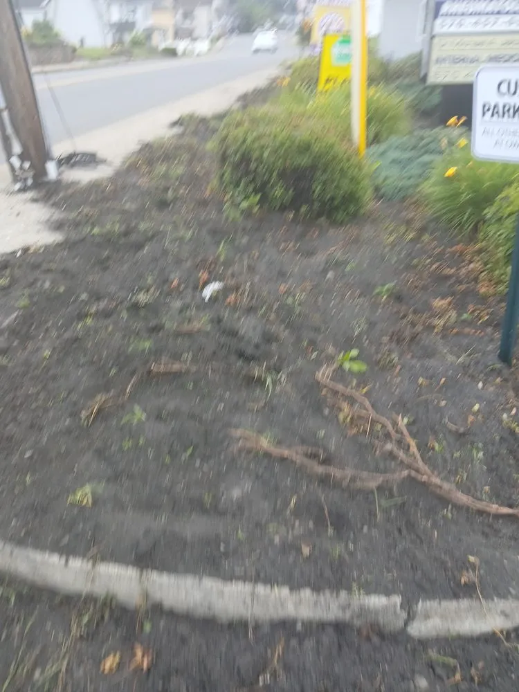 Custom residential landscaping in Old Forge, PA by Tommy c’s Landscaping and Construction