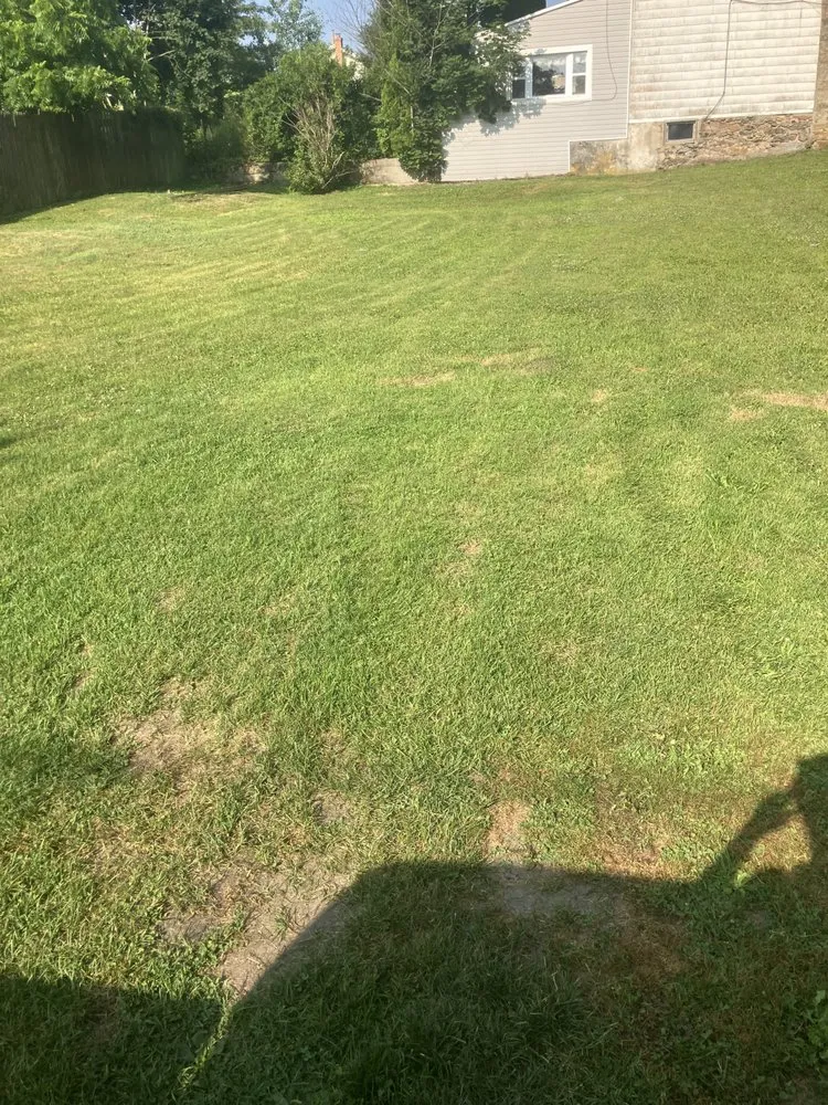 Reliable landscape installation in Old Forge, PA - Tommy c’s Landscaping and Construction