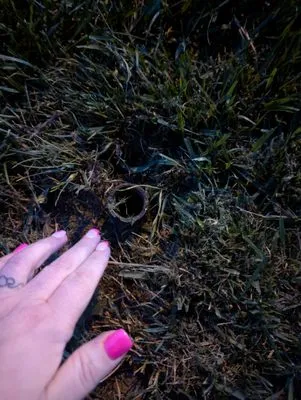 Tommy c’s Landscaping and Construction