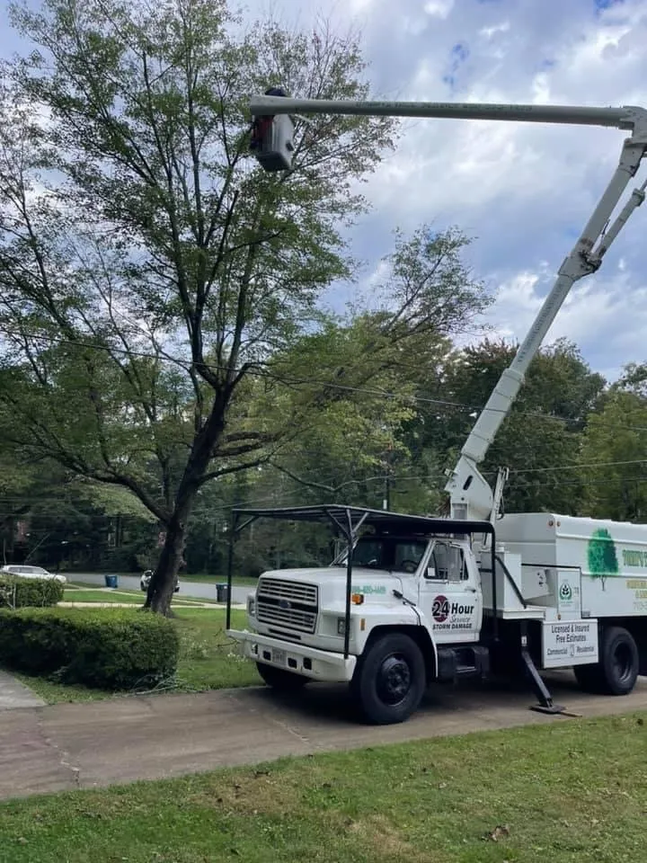 Professional outdoor landscaping experts serving Culpeper, VA - Tommy Frazier Tree Service