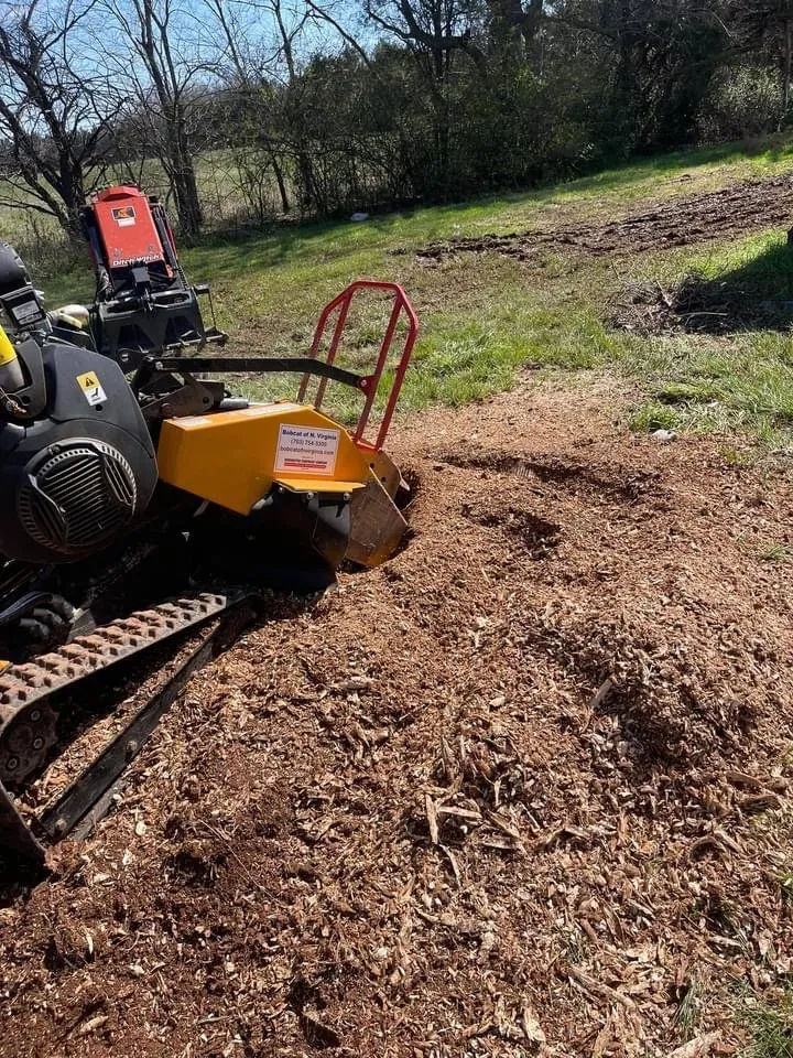 Affordable residential landscaping in Culpeper, VA - Tommy Frazier Tree Service