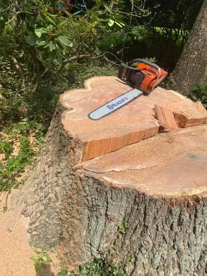 Local lawn mowing service experts serving Culpeper, VA - Tommy Frazier Tree Service