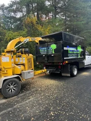 Local residential landscaping near you across Culpeper, VA - Tommy Frazier Tree Service