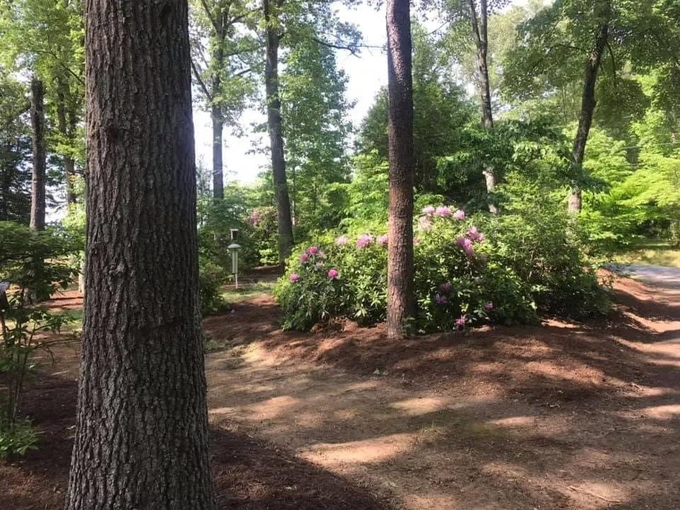 Expert landscape design experts serving Culpeper, VA - Tommy Frazier Tree Service