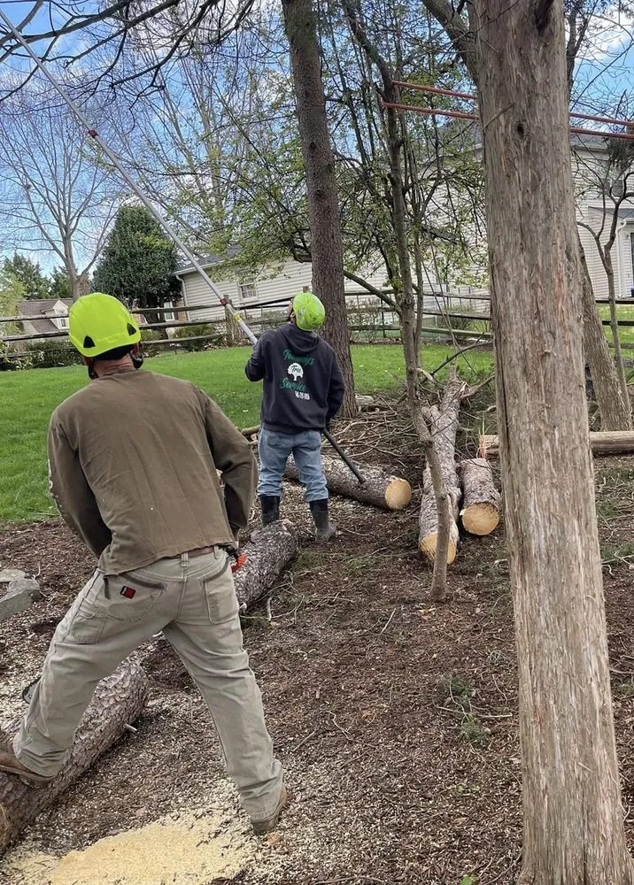 Trusted yard maintenance experts serving Culpeper, VA - Tommy Frazier Tree Service
