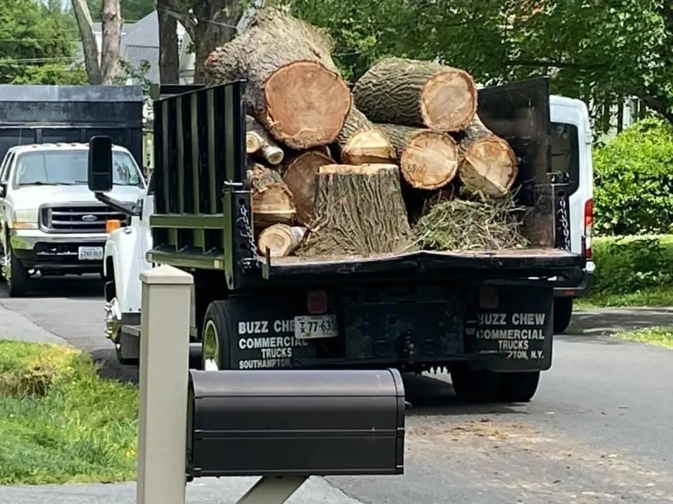 Affordable landscaping services in Culpeper, VA by Tommy Frazier Tree Service