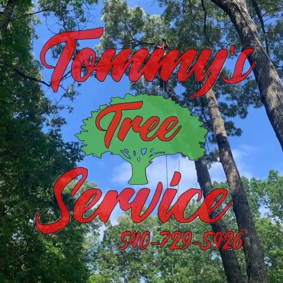 Custom garden landscaping near you across Culpeper, VA - Tommy Frazier Tree Service