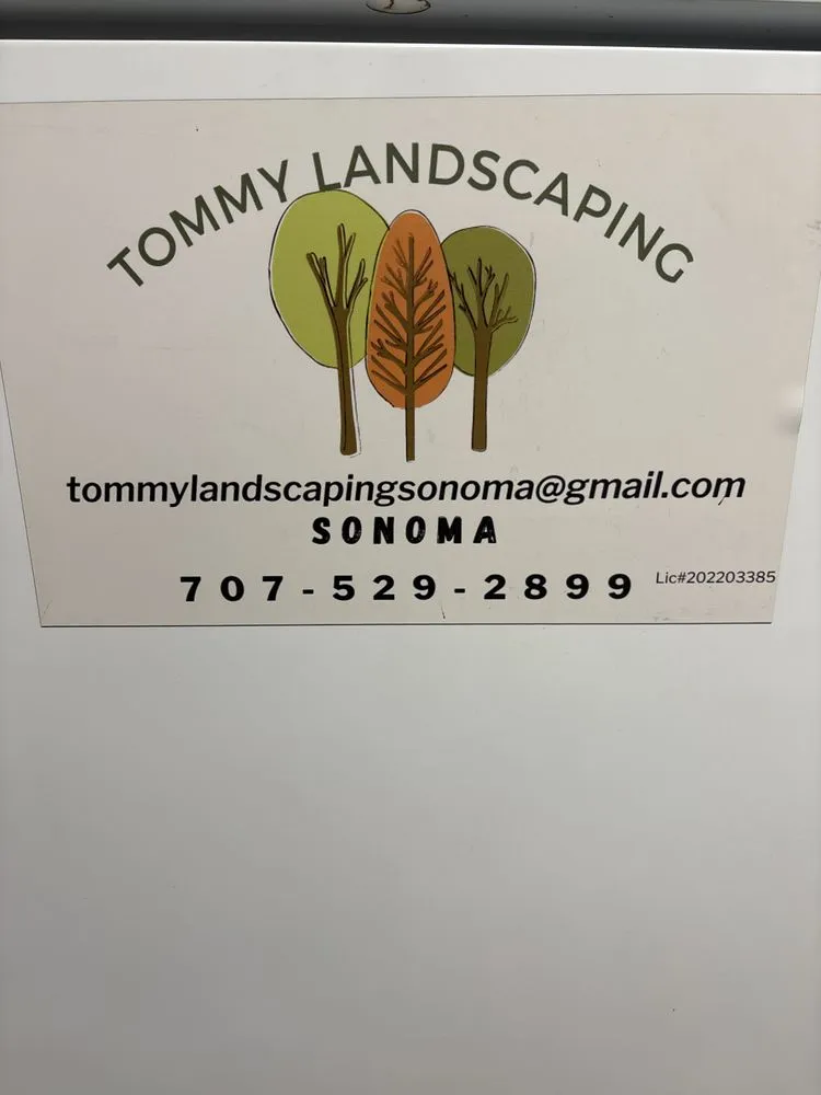 Trusted garden landscaping experts serving Sonoma, CA - Tommy Landscaping