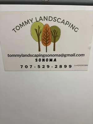 Tommy Landscaping Logo
