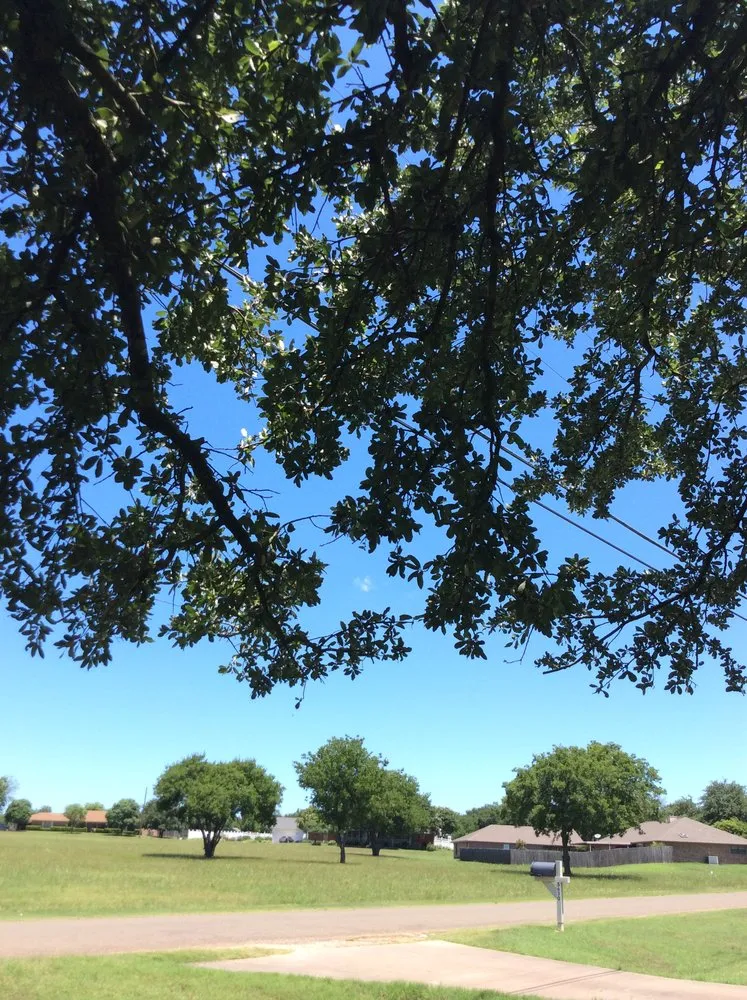 Trusted yard cleanup service in Midlothian, TX - Tommy LoCastro Landscaping