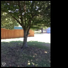 Top-rated garden landscaping experts serving Midlothian, TX - Tommy LoCastro Landscaping