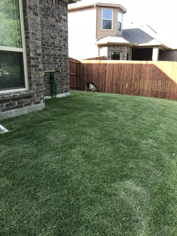 Professional yard cleanup service in Midlothian, TX - Tommy LoCastro Landscaping