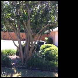 Local outdoor landscaping in Midlothian, TX - Tommy LoCastro Landscaping