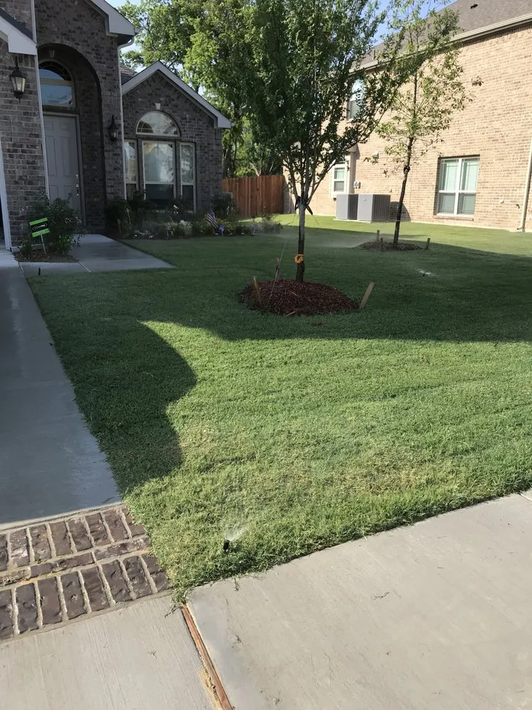 Professional lawn care service with custom design in Midlothian, TX by Tommy LoCastro Landscaping