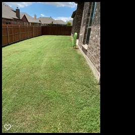 Tommy LoCastro Landscaping