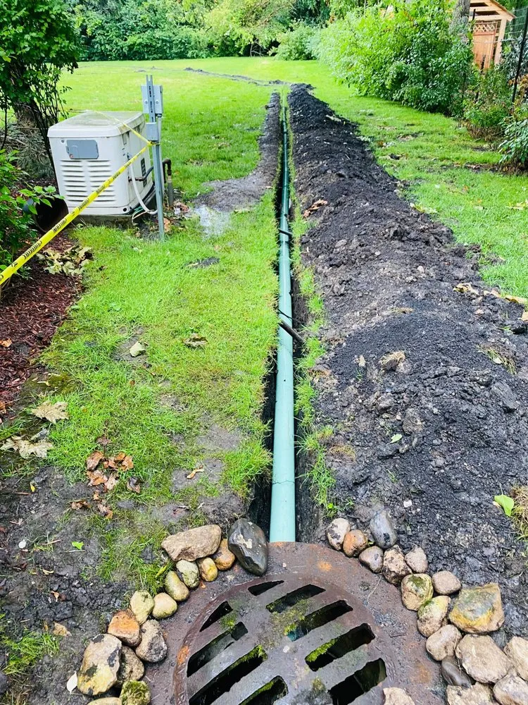 Expert yard cleanup service in Mount Prospect, IL - Tommy Pollina Landscape Company