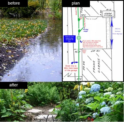 Professional yard cleanup service in Mount Prospect, IL - Tommy Pollina Landscape Company